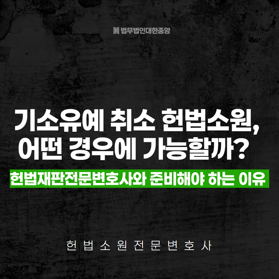 기소유예 기록 삭제 기다려야할까 헌법소원 변호사 (1)