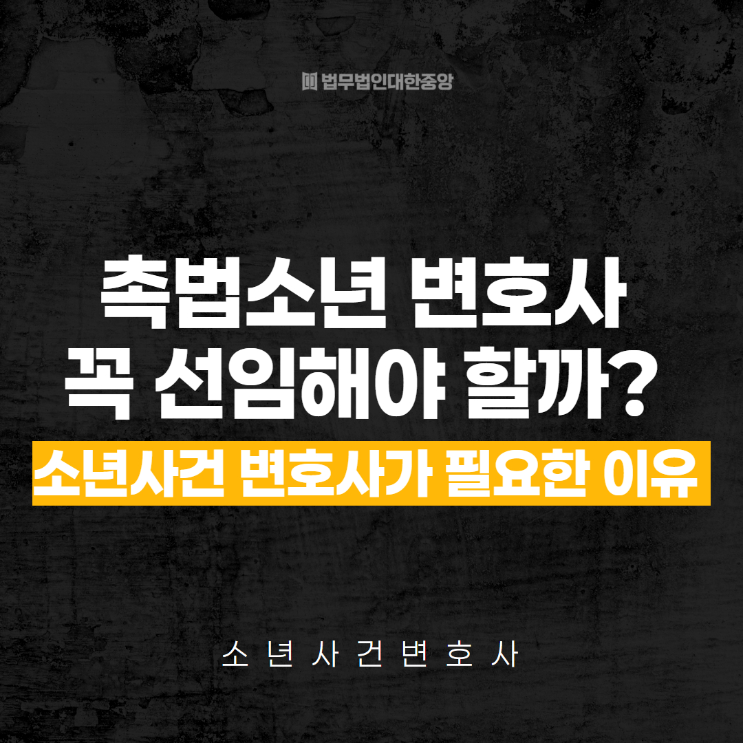 기소유예 기록 삭제 기다려야할까 헌법소원 변호사 (3)