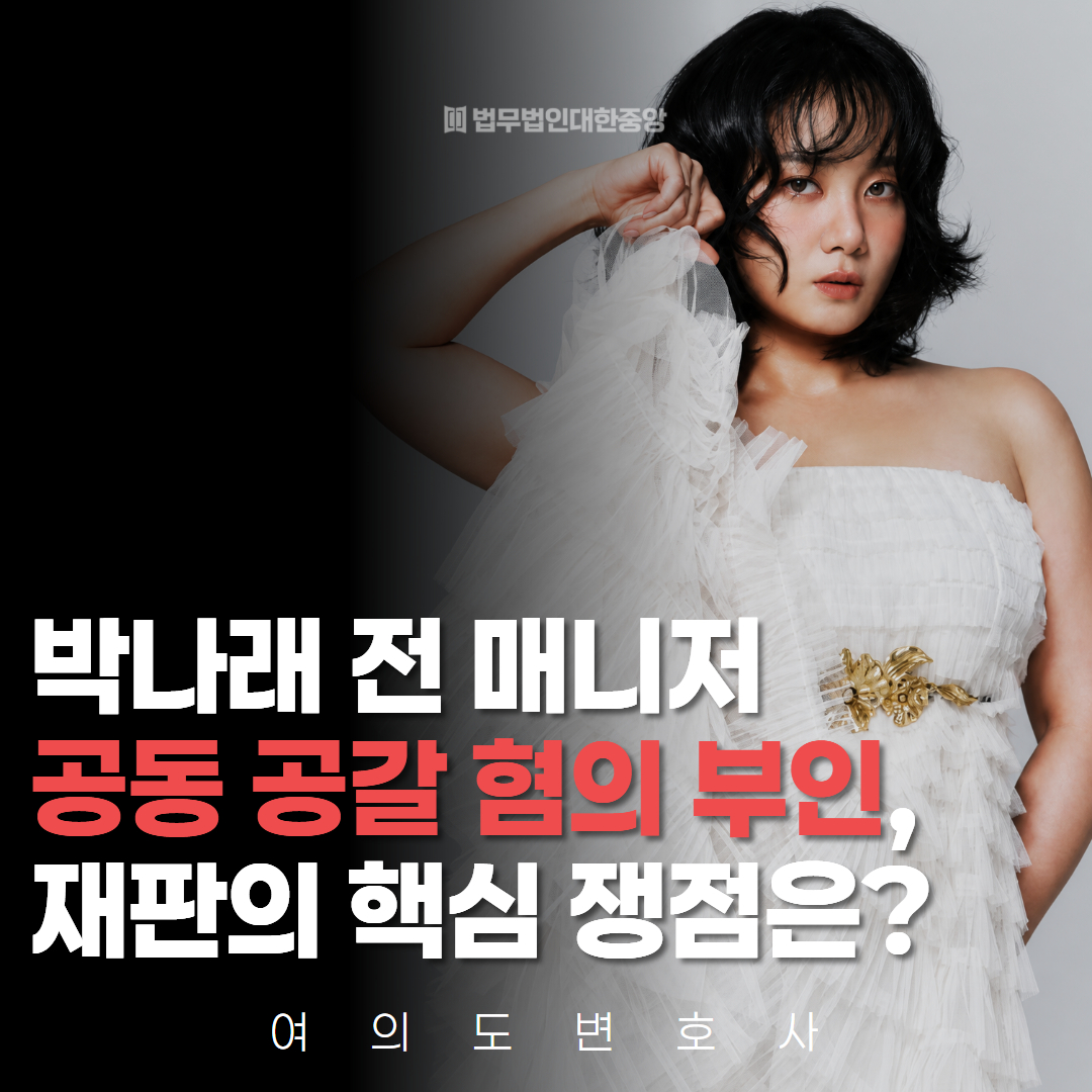 기소유예 기록 삭제 기다려야할까 헌법소원 변호사 (6)